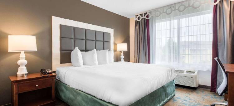 Best Western Erie Inn  Suites图片