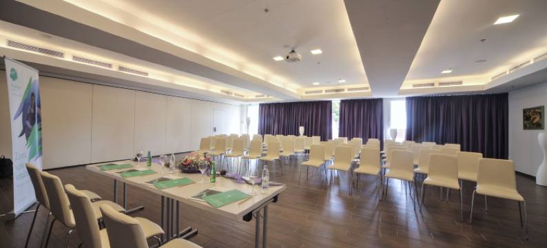 蓬塔 活力酒店(Vitality Hotel Punta)图片