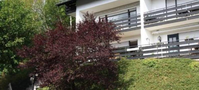 Appartement Maya图片