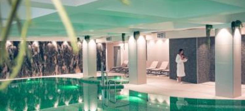 风云酒店(Hotel Fenyõ Conference & Spa)图片