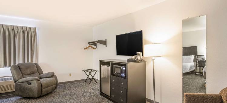 布尔什瑞昂美洲最佳价值酒店(Americas Best Value Inn Birch Run)图片