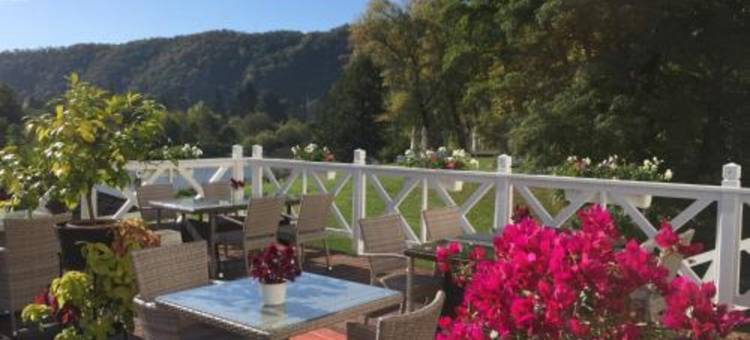 卡尔施泰因浪漫城堡酒店(Romantic Hotel Mlýn Karlstejn)图片