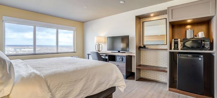 渥太华加蒂诺假日酒店(Holiday Inn Gatineau – Ottawa)图片