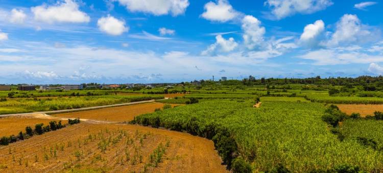 金城先生幸福2号度假村(Mr.Kinjo Happiness Resort 2)图片