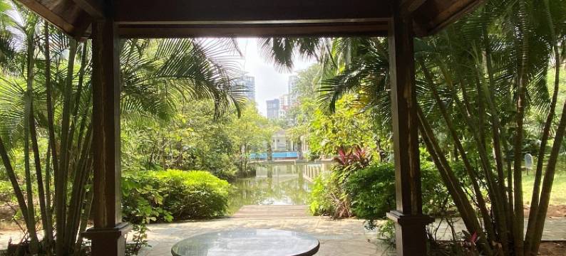 金舟娟子民宿(丽晶路分店)图片