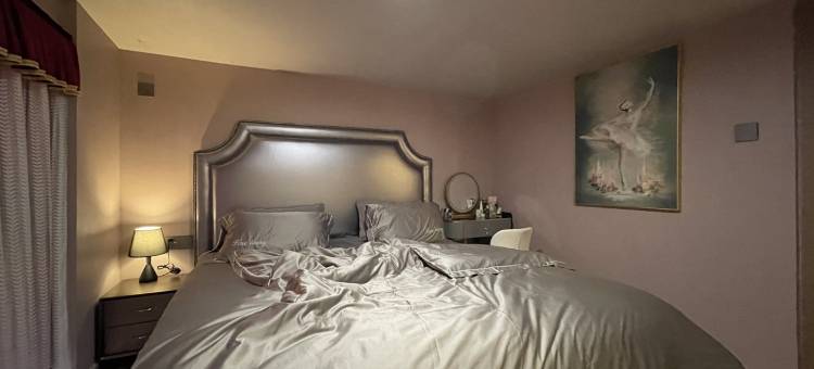 鲍励上房公寓(致慧路分店)图片