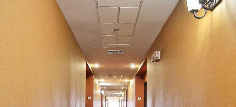 大学舒眠酒店及套房(Sleep Inn & Suites University)图片