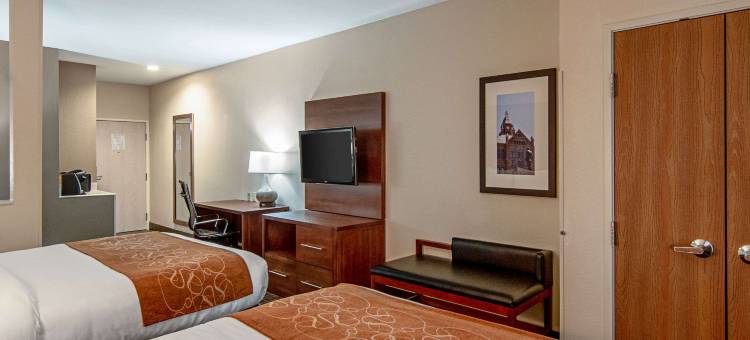 西北达拉斯爱田附近舒适全套房酒店(Comfort Suites NW Dallas Near Love Field)图片