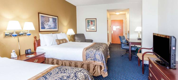 Wingate by Wyndham Atlanta/Six Flags Austell图片