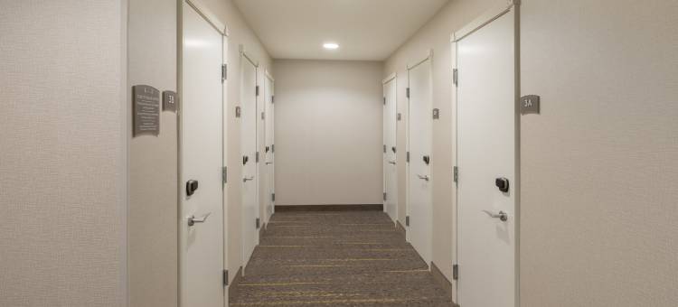 安克雷奇Staybridge Suites酒店(Staybridge Suites Anchorage)图片