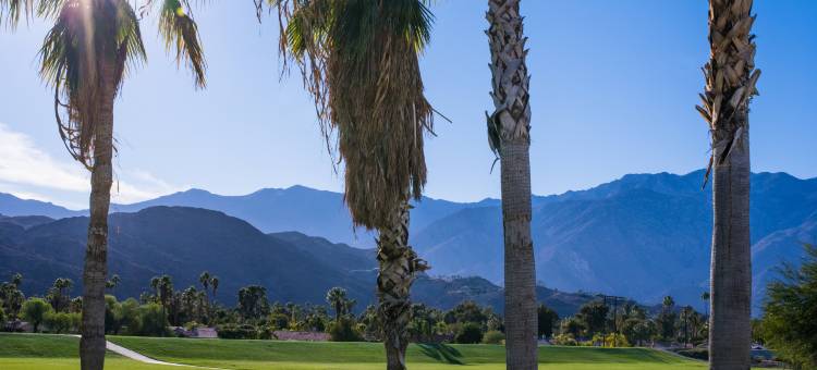 棕榈泉·罗文·金普顿酒店(Kimpton Rowan Palm Springs)图片