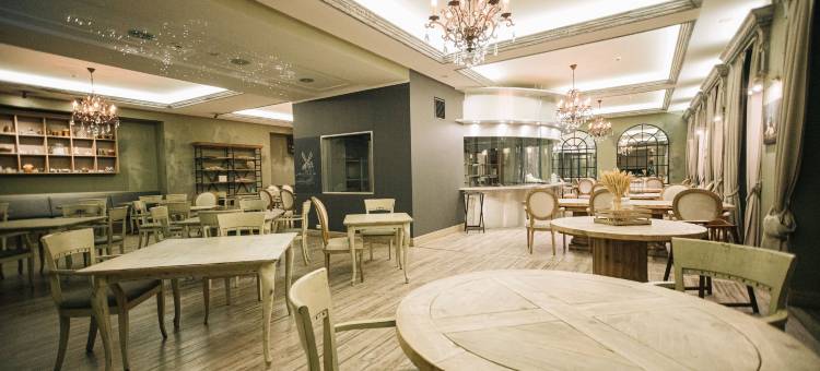 瓦纳维鲁波罗的海酒店(Rixwell Viru Square Hotel)图片