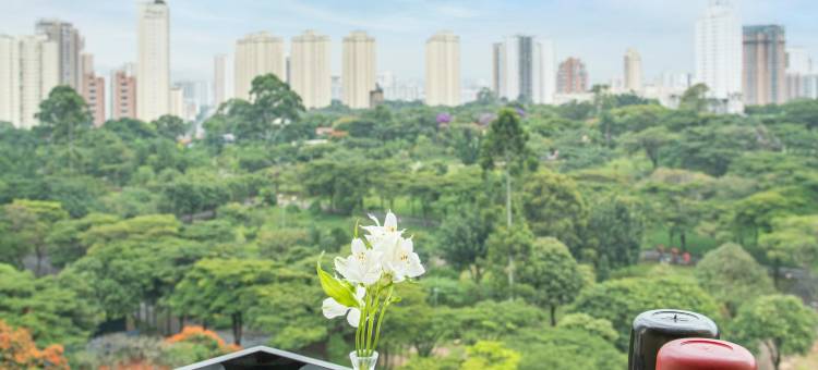 圣保罗佛朗哥蓝树塔酒店 - 塔图阿佩(Blue Tree Towers Anália Franco - Tatuapé)图片