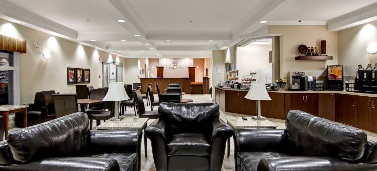 卡姆罗斯凯纳塔汽车旅馆(Canalta Camrose)图片