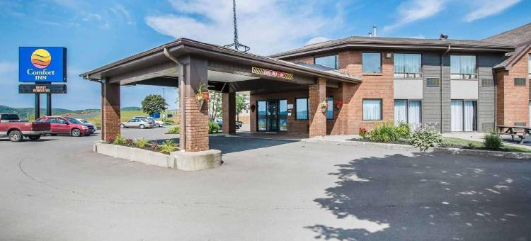 舒适酒店(Comfort Inn)图片