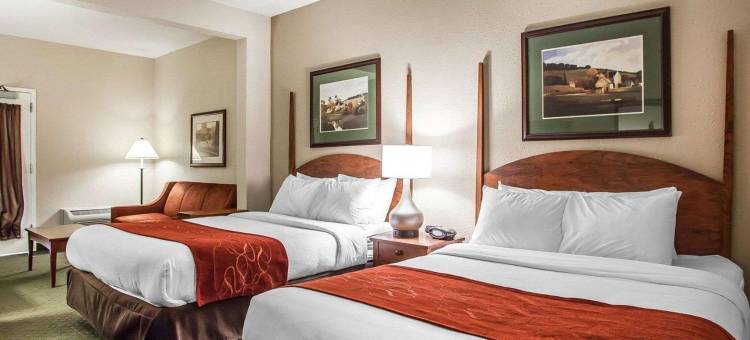 密尔沃基机场舒适套房酒店(Comfort Suites Milwaukee Airport)图片