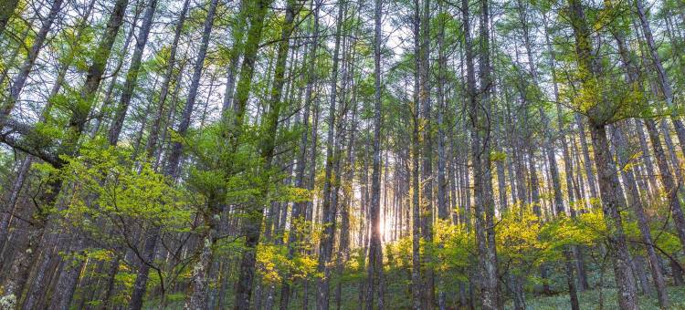 红多兹普拉斯酒店-近巨港机场3号(RedDoorz Plus Near Palembang Airport 3)图片