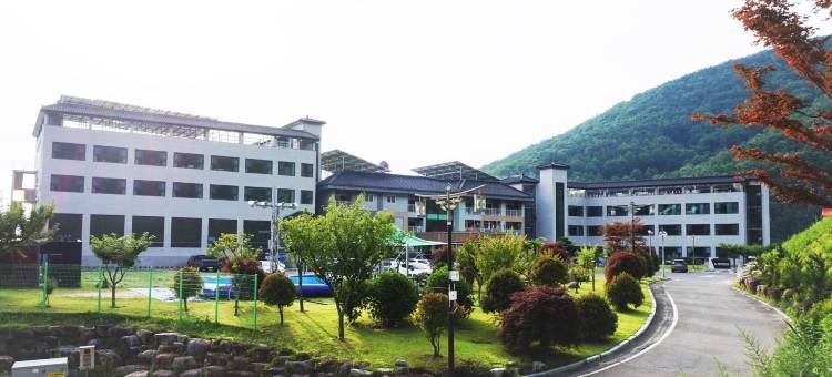 三清韩医家庭酒店(Sancheong Korean Medicine Family Hotel)图片