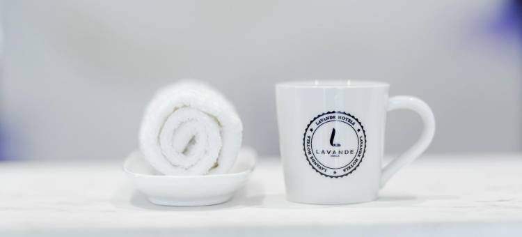 麗枫酒店(安乡店)图片