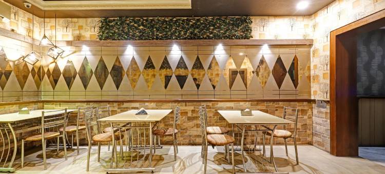 Treebo 阿波罗(Treebo Apollo)图片