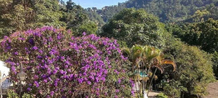 西提欧苏西哥旅馆(Pousada Sitio Sossego)图片