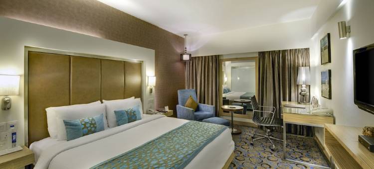 艾哈迈达巴德傲世广场酒店(Pride Plaza Hotel, Ahmedabad)图片