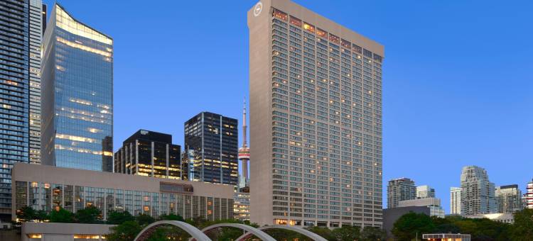 喜来登多伦多市中心酒店(Sheraton Centre Toronto Hotel)图片