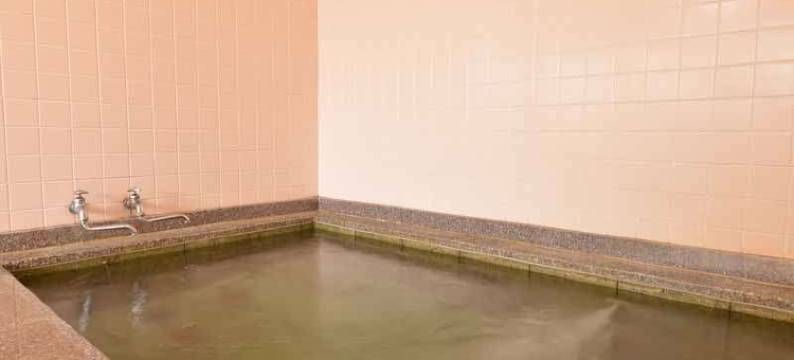 二泽旅馆(Futazawa-Inn)图片