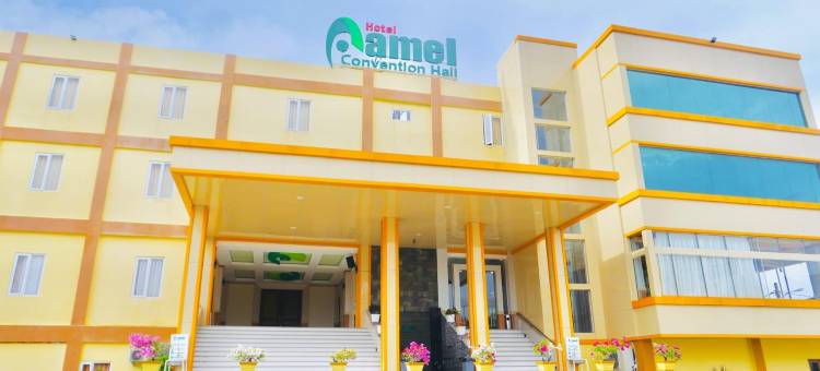 阿梅尔酒店及会议厅(Hotel Amel Aceh)图片