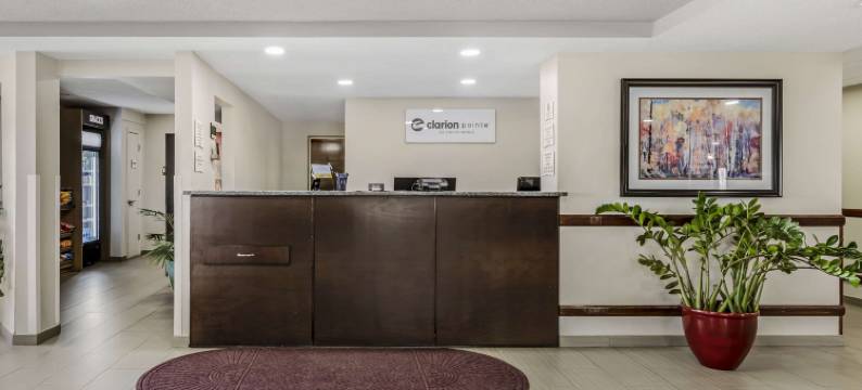 斯丹顿东凯隆波因特酒店(Clarion Pointe Staunton East)图片