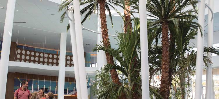 奥兰多环球影城卡巴纳湾海滩度假村(Universal’s Cabana Bay Beach Resort)图片