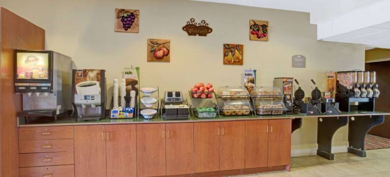 布什内尔温德姆麦客达套房酒店(Microtel Inn & Suites by Wyndham Bushnell)图片