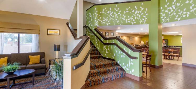 舒眠酒店-萨凡纳北95号州际公路(Sleep Inn I-95 North Savannah)图片