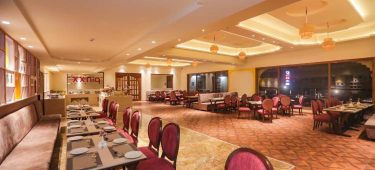 雅姆巴拉中心城市维拉斯宫殿(Regenta Central City Vilas Palace Ambala)图片