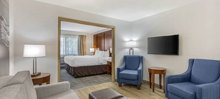 埃弗格林百汇金西舒适套房酒店(Comfort Suites Golden West on Evergreen Parkway)图片