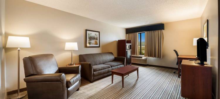 绿洲公园贝斯特韦斯特酒店(Best Western Park Oasis Inn)图片