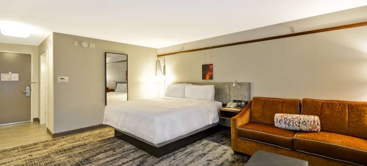 奥斯汀圆石希尔顿花园酒店(Hilton Garden Inn Austin/Round Rock)图片