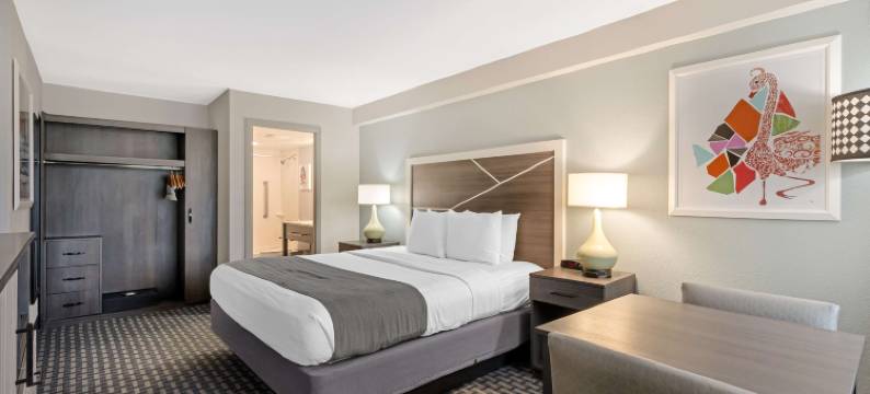 代托纳海滩海风贝斯特韦斯特优质旅馆海滨(Best Western Plus Daytona Inn Seabreeze Oceanfront)图片