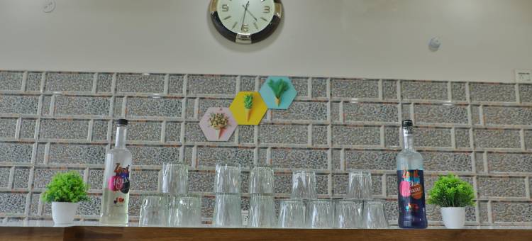 德罗纳宫酒店(Hotel Drona Palace)图片