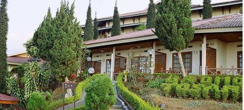 岩望酒店(Bromo Cottages)图片