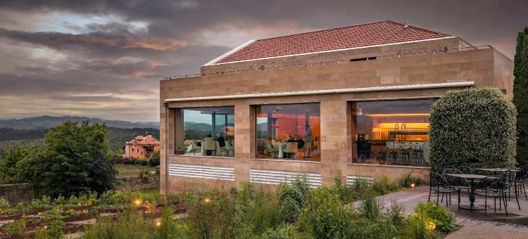 罗莱夏朵卢瑟斯宫殿酷客房(CoolRooms Palacio de Luces)图片