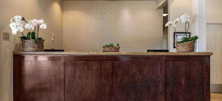 皇家橡树贝斯特韦斯特优质酒店(Best Western Plus Royal Oak Hotel)图片