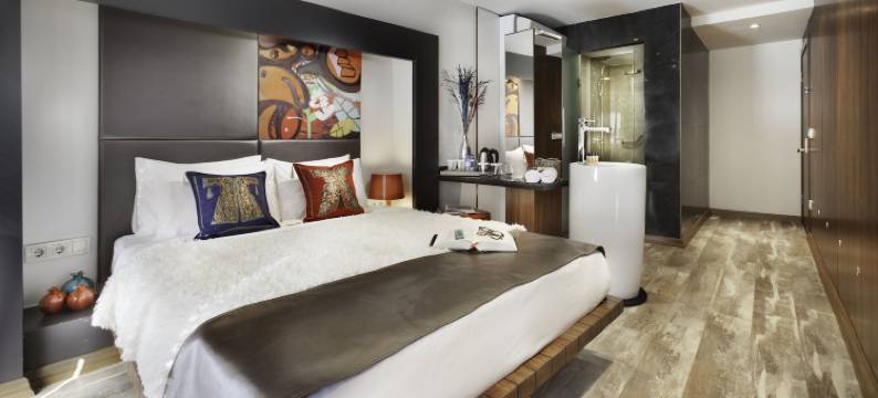 多加拉塔酒店(Duo Galata Hotel)图片