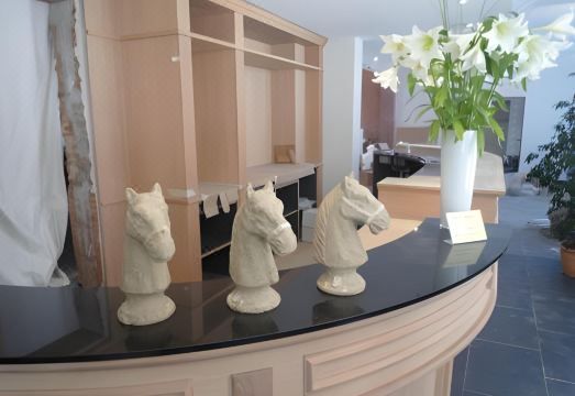 3 Paardekens - City Centre Hotel Hotel Overview