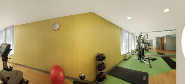 Holiday Inn Express 罗穆勒斯/底特律机场(Holiday Inn Express Romulus / Detroit Airport)图片