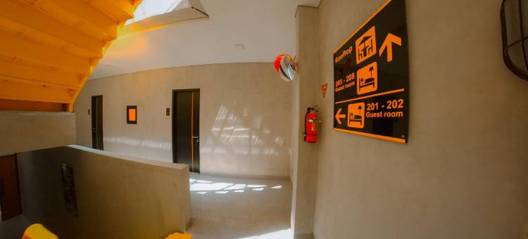 阿利塔宾馆(Arlita Guesthouse)图片