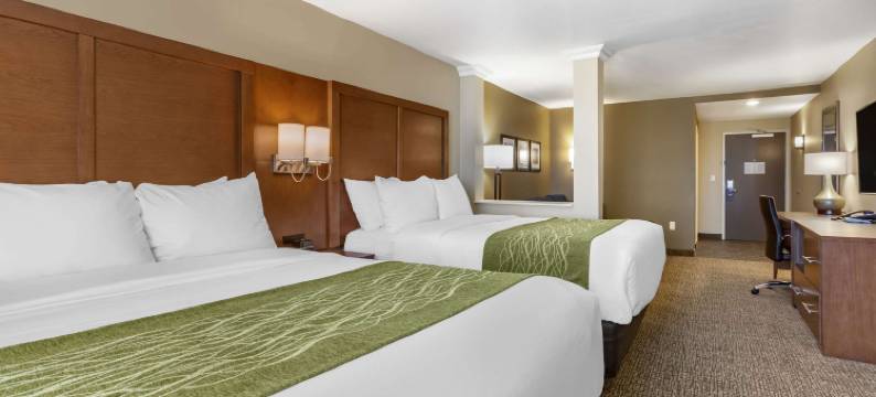 阿尔伯克基机场舒适套房酒店(Comfort Suites Albuquerque Airport)图片