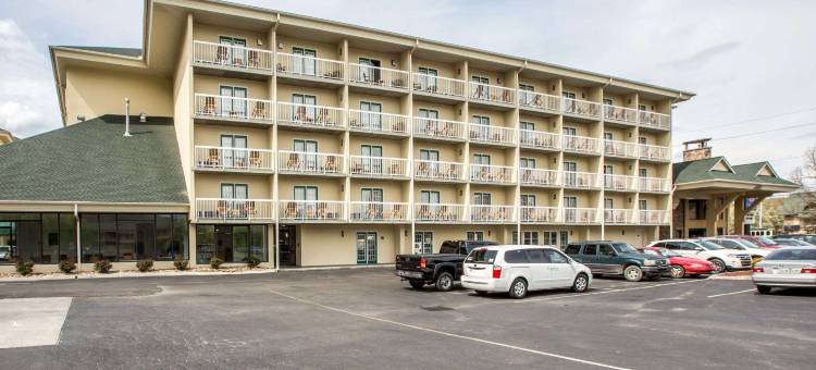 多利伍德街舒适酒店(Comfort Inn & Suites at Dollywood Lane)图片