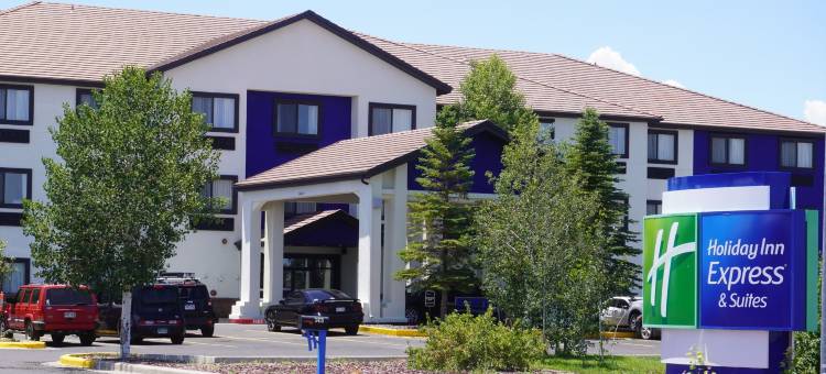 智选假日套房酒店阿拉莫萨(Holiday Inn Express & Suites ALAMOSA by IHG)图片