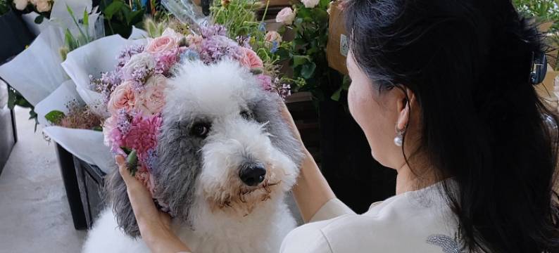 植无界民宿图片